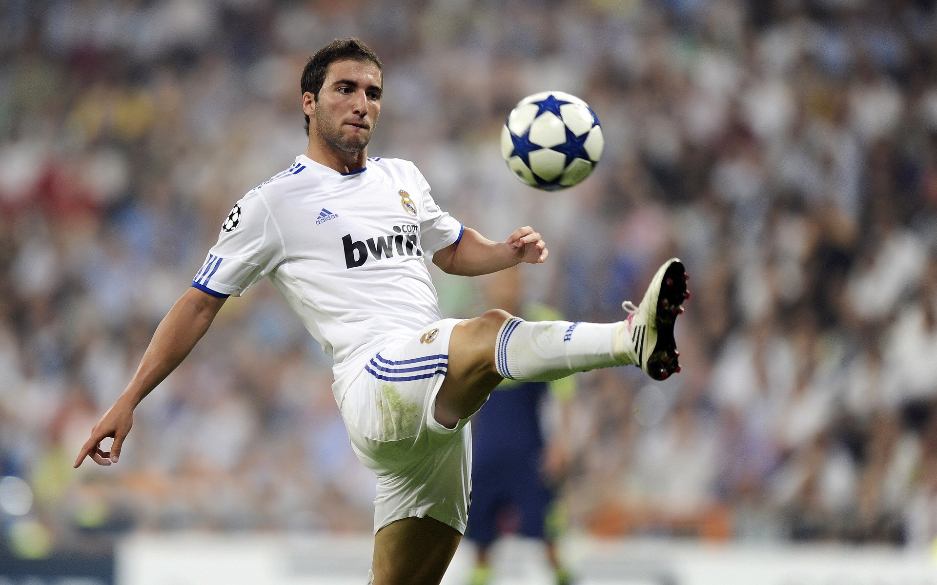 _未来体育馆国际巡展:科技打造极致体验_,未来的体育馆图片